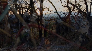 Modular #16 Eveil-Ambient-Verbos Harmonic Oscillator Just Friends ER-301 Kria Rings Mimeophon Clouds