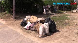 Sufren por falta de recolección de basura