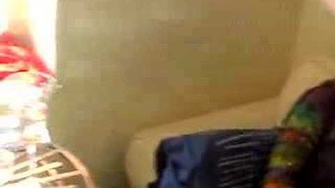 The Tepid Beckettesques (in their 10th year)