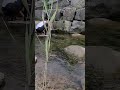 사람보다 큰 석축 밑에 이런게 있네?!