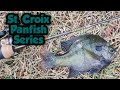 Bluegill Fishing with the St. Croix Panfish Series Rod