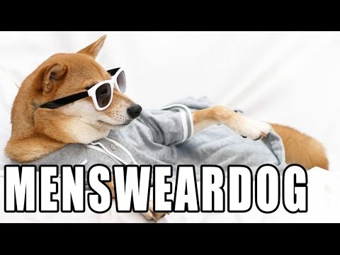 mensweardog---memed
