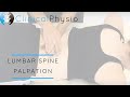 Lumbar Spine Palpation | Clinical Physio