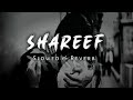 Shareef Afsana Khan Slowed Reverb mp3