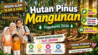 Hutan Pinus Mangunan YOGYAKARTA Wisata Keluarga Terbaru 2026