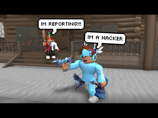 Mm2 Hacker report