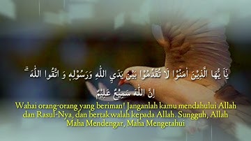 surah al hujurat سورة الحجرات full 1-18 ayat