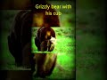 Grizzly bear and cub. #ytshorts
