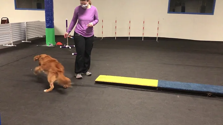 Teeter: Foundation Skills
