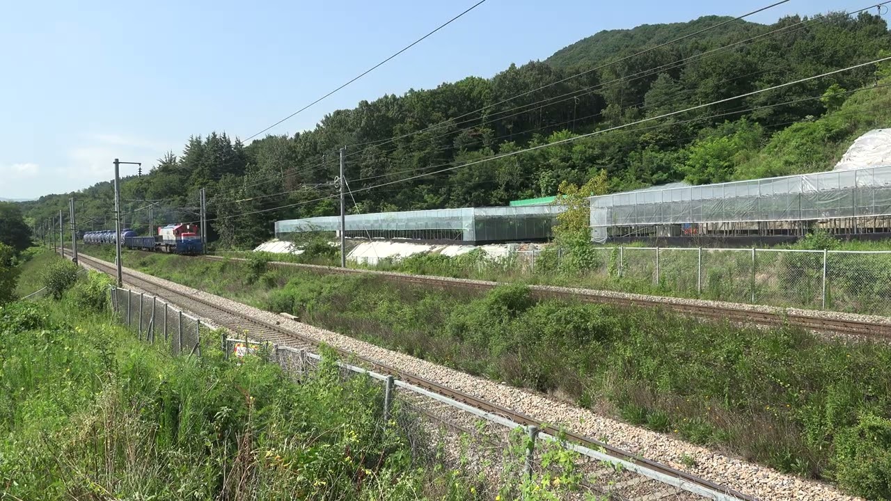 매미소리 가득한 여름 추풍령 고개를 올라오는 홍성행 유류화물열차