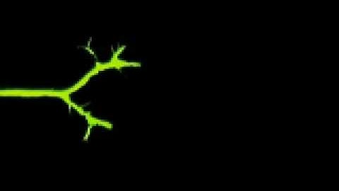 Misc Demo Reel - The Scope and the Vein