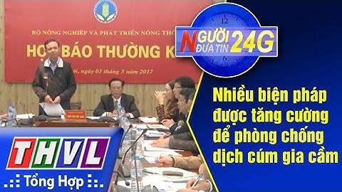 THVL | Người đưa tin 24G: Nhiều biện pháp được tăng cường để phòng chống dịch cúm gia cầm