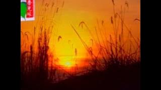 蔡可荔-观音灵感歌 [KTV]