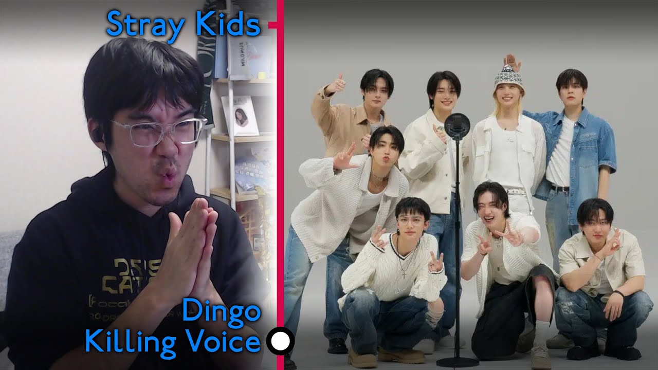 Stray Kids — Dingo Killing Voice: первый просмотр и реакция