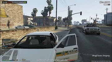 COPS In The LSPDFR Matrix