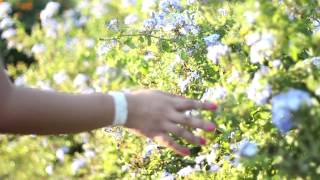 20150419 Zendria @ 18 Save the Date Video