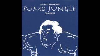 [1996] 寺田創一 (Soichi Terada)  Sumo Jungle GRANDEUR  Full Album (HQ)