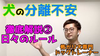 【怖がり犬専門トレーナー解説！】犬の分離不安を徹底解説②普段のルール＆対策編