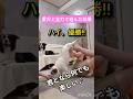 自由な発想を大切に #あいちゃん #犬のいる生活 #shorts