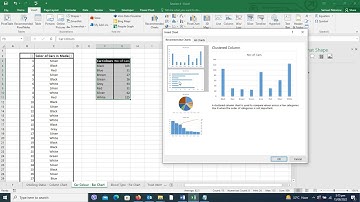 How to use Countif Function and creating charts using Excel