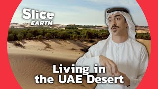 Liwa: The Origins of an Oasis in the United Arab Emirates | SLICE EARTH