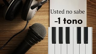 Usted no sabe (Karaoke en tono bajo) con solo piano