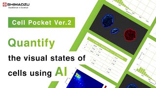 Cell Pocket -Integrated system for both analysis and management of cell images-