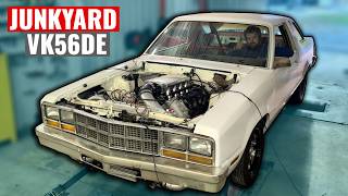 BIG HP on Stock Internals VK56 - The Coyote You Can Actually Afford!