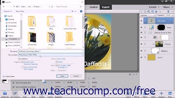 Photoshop Elements 15 Tutorial Saving Images Adobe Training