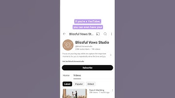How to add a video to your Lnk.Bio || Link in bio