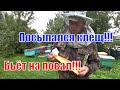 ЛЕЧИМ ПЧЁЛ ОТ КЛЕЩА ВАРРОА ПОЛОСКАМИ ИЗ КИТАЯ, ЭФФЕКТ ПРОСТО ПОРАДОВАЛ