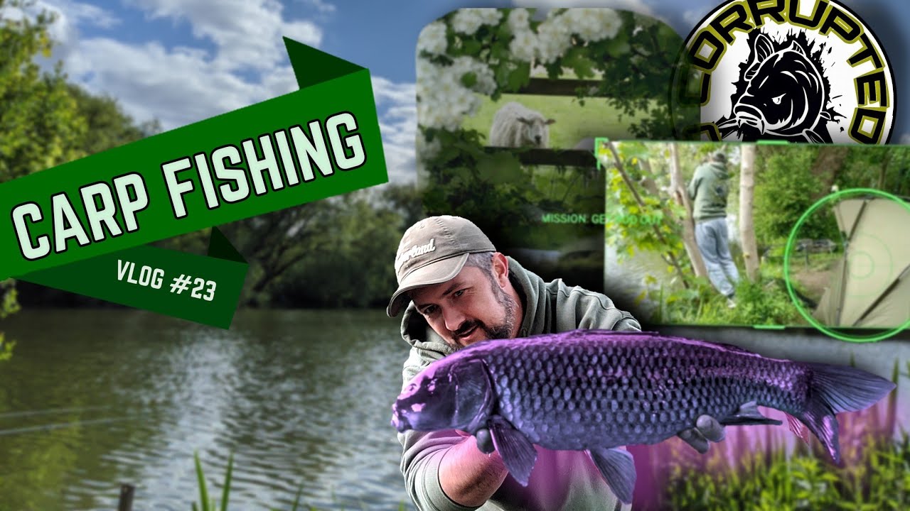 BAKERS POND, NEWPORT CARP FISHING YouTube