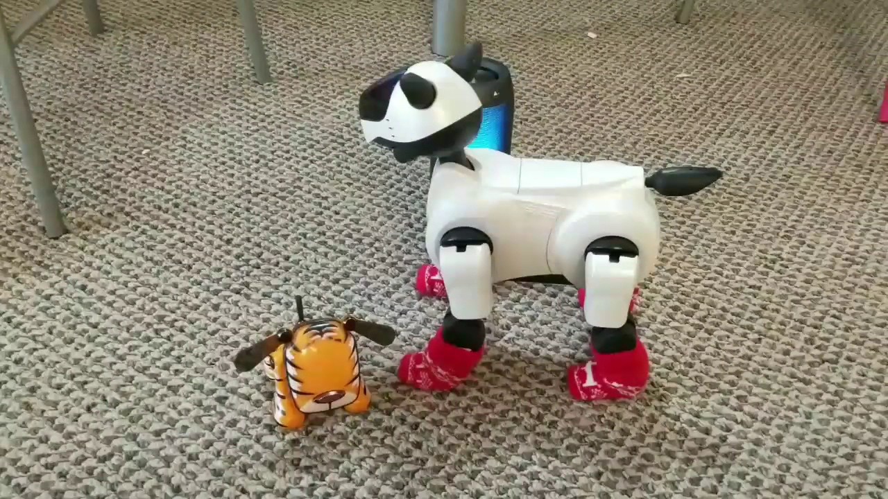 Aibo Dancer Party v1 - YouTube