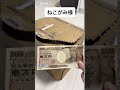 ねこがみ様の尊すぎる焦り姿がこちら【#Shorts】