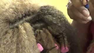 Crochet Braids using Marley Hair