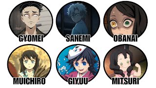 Every Hashira Demon Slayer Backstory Explained!