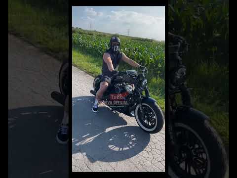 HARLEY DAVIDSON Expert