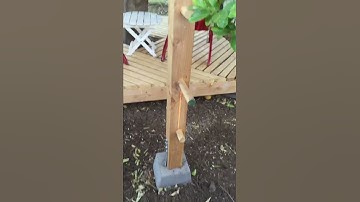 Tree fort ladder