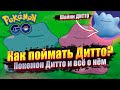 ВСЁ О ДИТТО И КАК ЕГО ПОЙМАТЬ [Pokemon GO]