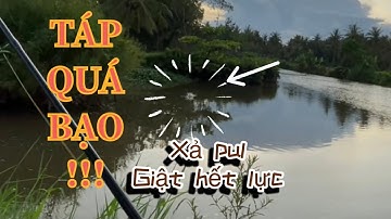 Câu lure cá lóc sông cá to táp choáng đóng đã tay, snakehead fishing lure