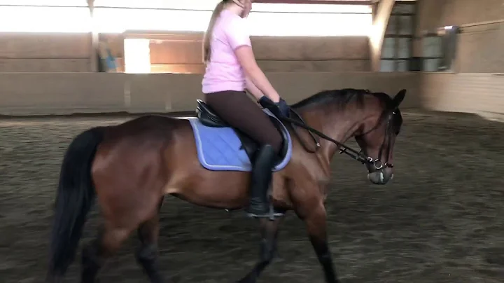 Sheila og Stacy // Dressur time 22 Juni 2018