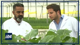 Faster, cheaper, tastier: Israeli solution to grow food screenshot 2