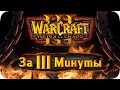Весь Warcraft 3 за 3 Минуты!