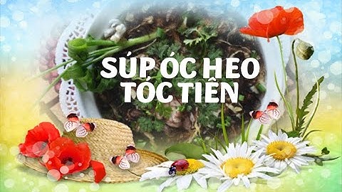 Súp óc heo tóc tiên thơm ngon bổ dưỡng dễ làm/A delicious, nutritious pig brain soup with black moss
