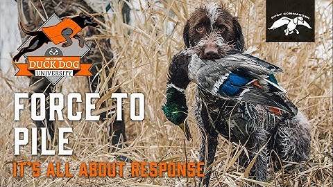 Introducing "Force To Pile" | DDU Ep.9