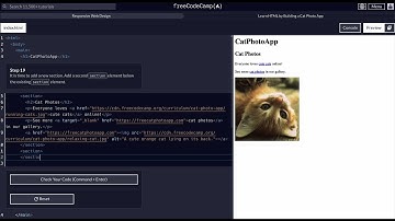 FreeCodeCamp - Responsive Web Design - Step 19 of 71 -  Learn HTML by Building a Cat Photo App