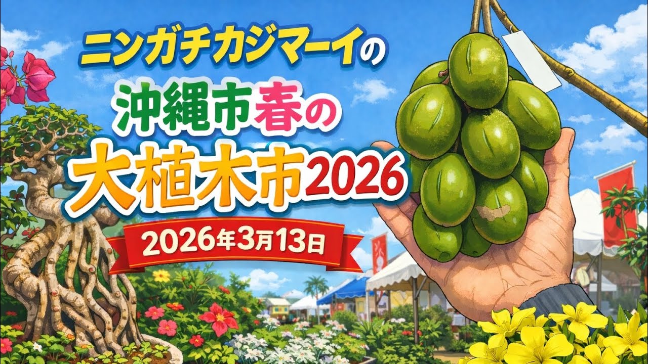 ニンガチカジマーイの沖縄市春の大植木市2026 - YouTube