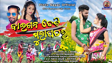 Baigana Dheti MulaPatara !New Sambalpuri Song !! singer-Prakash jal & Manbi !! Pintu Sagar & Mahima