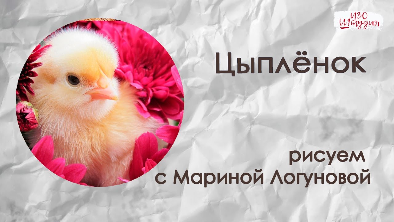 Милый цыплёнок акварелью - YouTube