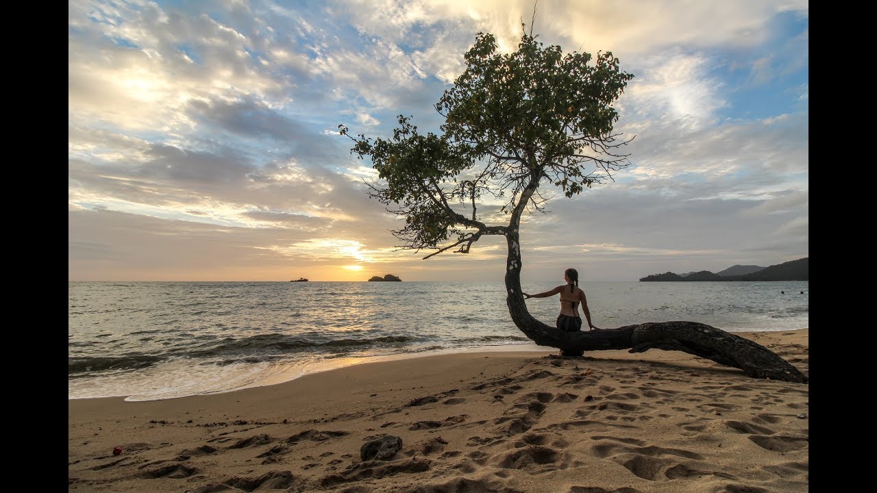 The Bee Token ICO Review – 5x Profit or More!!!